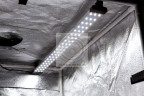 Лайткуб FST LT-40 LED со светодиодным освещением