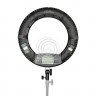 Осветитель кольцевой Falcon Eyes BeautyLight 480 LED