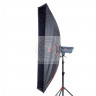 Софтбокс Falcon Eyes SBQ-30160 BW жаропрочный с сотовой насадкой