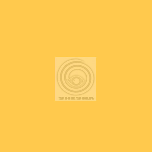 Фон бумажный Falcon Eyes BackDrop 2.72x10 желтый (14)