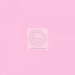 Фон бумажный Falcon Eyes BackDrop 2.72x10 розовый (170)