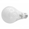 Студийный комплект Grifon DFL-507 LED