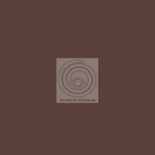 Фон бумажный Falcon Eyes BackDrop 2.72x10 коричневый (20)