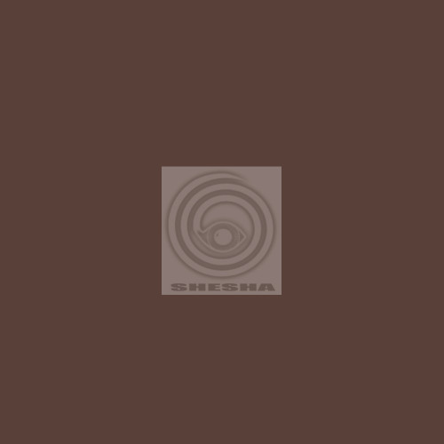 Фон бумажный Falcon Eyes BackDrop 2.72x10 коричневый (20)