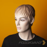 Fotokvant BGP-2711-14 Forsythia Yellow фон бумажный 2.72х11 м желтая форзиция