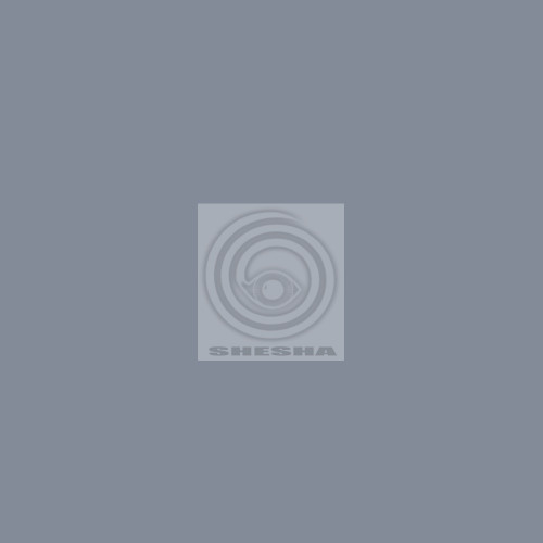 Фон бумажный Falcon Eyes BackDrop 2.72x10 серый (21)