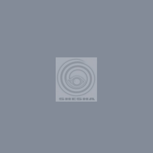 Фон бумажный Falcon Eyes BackDrop 2.72x10 серый (21)