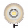Осветитель FST EF-50 LED 5500K светодиодный