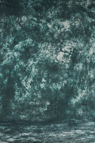 Grifon Фон тканевый TI ​​​​​​​W-386 (300х500 см)