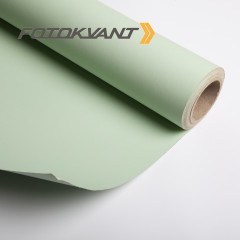 Fotokvant BGP-2711-167 Mugwort фон бумажный 2.72х11 м цвет полыни