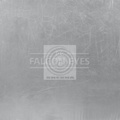Отражатель Falcon Eyes RR-3570GS