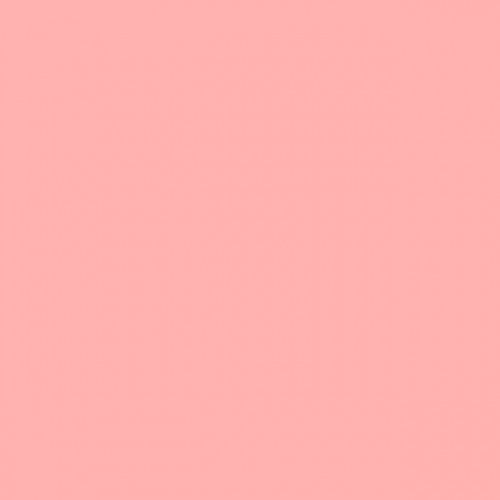 Chris James 109 Light Salmon фолиевый фильтр