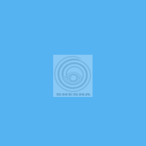 Фон бумажный Falcon Eyes BackDrop 2.72x10 голубой (61)