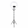Осветитель кольцевой Falcon Eyes BeautyLight 480LS LED со стойкой