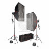 Комплект галогенных осветителей Falcon Eyes QLBK-1000 v2.0