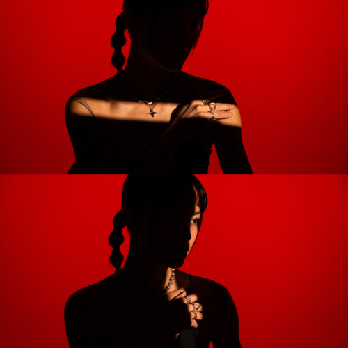 Проекционная насадка Aputure Spotlight mini 19° Lens Kit для STORM 80c