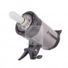 Вспышка Falcon Eyes Ultima II SL-300 BW студийная