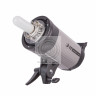 Вспышка Falcon Eyes Ultima II SL-300 BW студийная