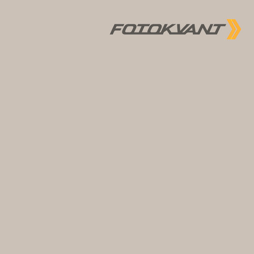 Fotokvant BGP-2711-24 Dawn Grey фон бумажный 2.72х11 м светло-серый