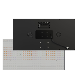 Осветитель Osterrig Orion