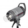 Осветитель Falcon Eyes QL-1000BW v2.0 галогенный