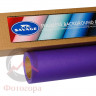 Savage (62-12) Purple фон бумажный 2,7x11 м фиолетовый