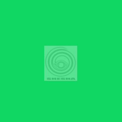 Фон бумажный FST 2,72x11m CHROMAGREEN 1010 хромакей зелёный