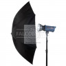 Фотозонт Falcon Eyes UR-60WB