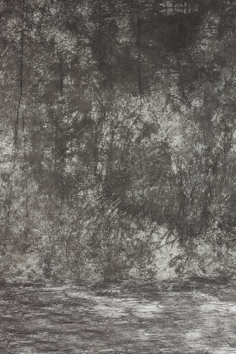 Grifon Фон тканевый TI W-102 (300х500 см)