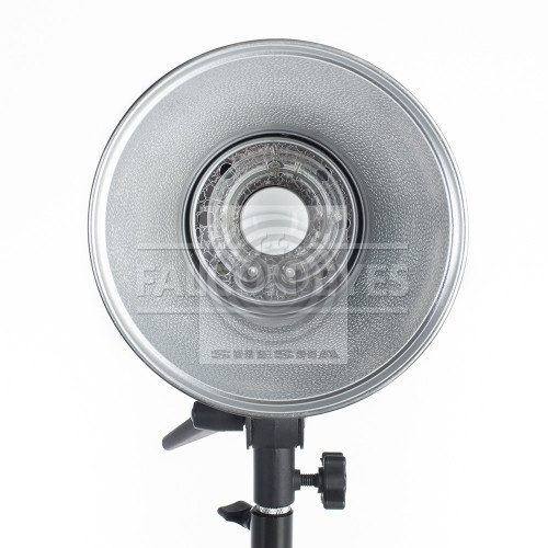 Вспышка студийная Falcon Eyes DE-900BW