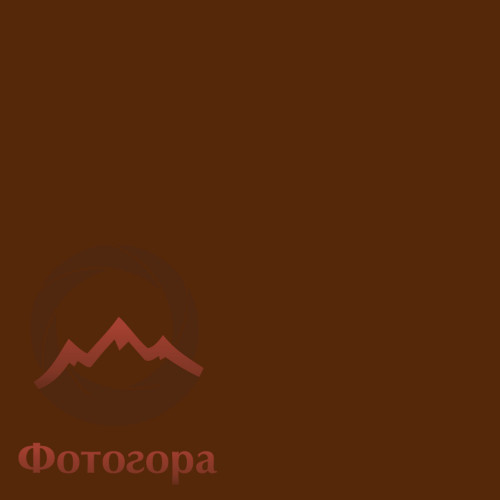 Fotokvant BN-2150 Brown нетканый фон 2,1х5,0 м коричневый