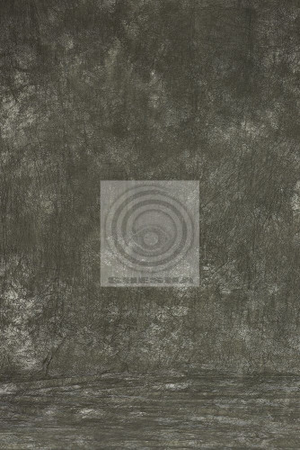 Grifon Фон тканевый W-096 (270х500 и 300х500 см)