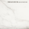 Wansen PB-0609-511 PVC Waterproof Marble Retro Vintage 60x90cm пластиковый фон мрамор