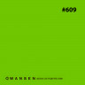 Wansen GEL-609 фолиевый фильтр зеленый
