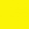 Фон бумажный Polaroid Yellow Желтый 2,72*11 м
