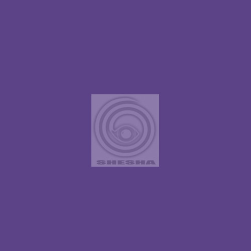 Фон бумажный Polaroid Purple Фиолетовый 2,72*11 м