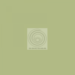 Фон бумажный FST 2,72x11m 1019 фисташковый