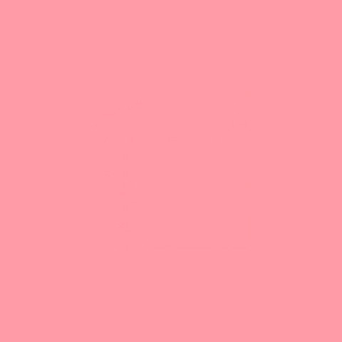 Fotokvant BN-1650 Pink нетканый фон 1,6х5,0 м розовый
