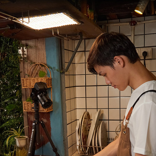 Гибкий осветитель Godox FH50Bi