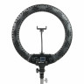 Осветитель кольцевой Falcon Eyes BeautyLight 450R LED