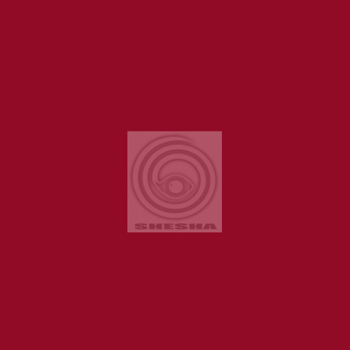Фон бумажный Polaroid Flame Red Красный 2,72*11 м