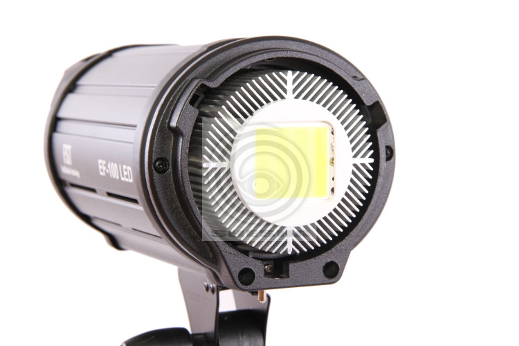 Осветитель FST EF-200 LED 5500K светодиодный