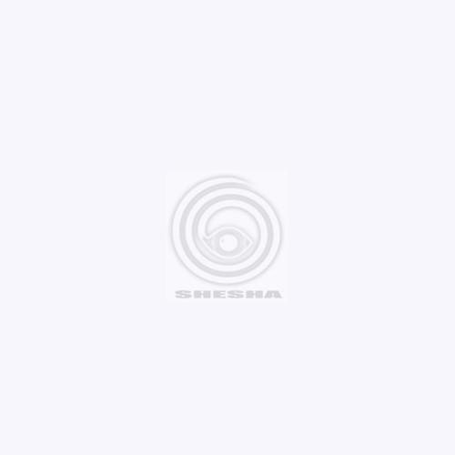 Фон бумажный Polaroid Arctic White Белый 2,72*11 м