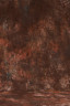Grifon Фон тканевый TI W-051 (300х500см)