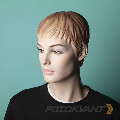Fotokvant BGP-2710-55 Alpine фон бумажный 2.72х10 м цвет альп