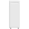 Осушитель воздуха бытовой Ballu BD60CI HEAVY DUTY PLUS