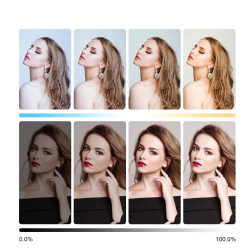 Осветитель GVM-PD60B