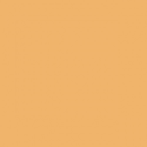 Chris James 207 Full Ct Orange+3nd фолиевый фильтр