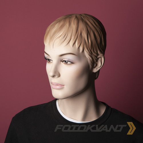 Fotokvant BGP-2710-62 Plum фон бумажный 2.72х10 м сливовый