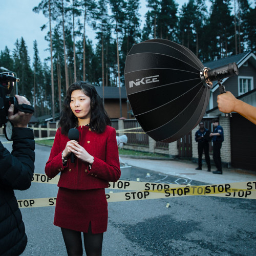 Осветитель INKEE Gold Crow 30